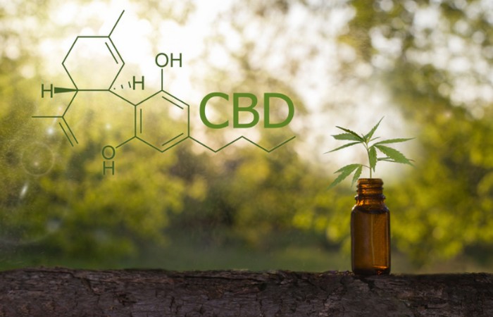 Cbd Et Thc Quelles Diff Rences