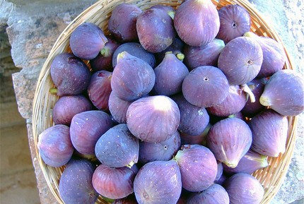 La figue, un petit fruit gorgé d'antioxydants