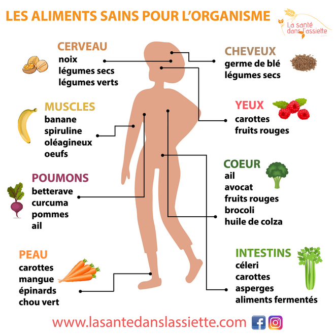 aliments_organisme