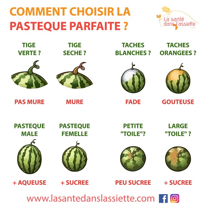 choisir_pastèque