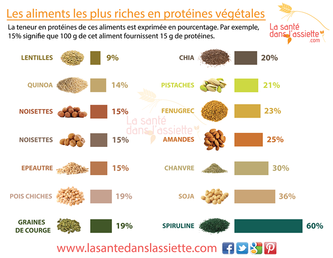 Les 15 aliments les plus riches en protéines végétales
